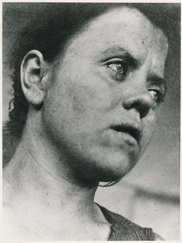 Vystavené dielo